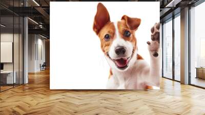 happy dog giving a high five isolated on white, with copy space area, transparency background Wall mural