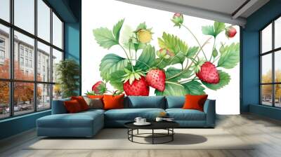 Hand drawn illustration of strawberry with branches, strawberry vines plant isolated on white background Wall mural