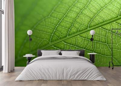 Macro Detail of Green Leaf Veins Texture Wall mural