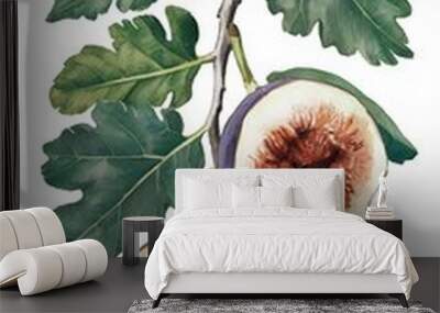 Two halved figs on a branch with green leaves. Wall mural