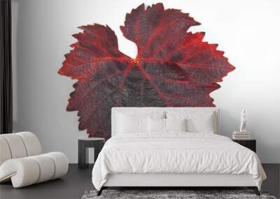 leaves grape Wall mural