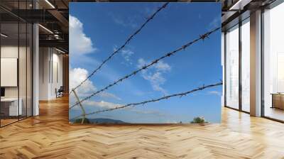 Barbed wire Wall mural