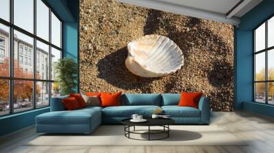 Shell on sandy beach Wall mural