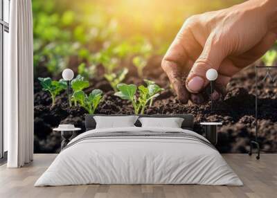 Hand Planting Seedlings in Soil Wall mural