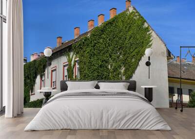 Climbing plants on the wall of an old building Wall mural