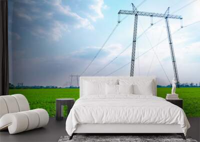 High voltage lines and power pylons in a green agricultural landscape on a sunny day with clouds in the blue sky. Wall mural