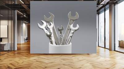 auto repair wrenches on a gray background Wall mural