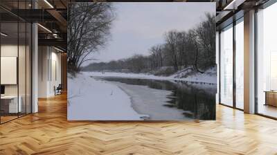 ducks winter on thin ice on a winter river. Wall mural