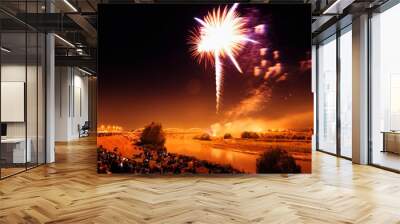 festive fireworks. multicolored salute in the night sky. Wall mural