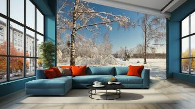 ski in the winter in the forest on a clear day. Wall mural