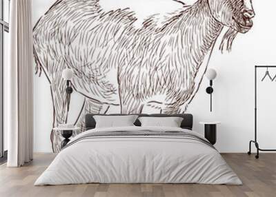 mountain goat Wall mural