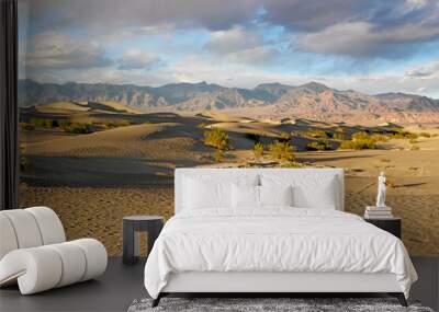 Death Valley sand dunes Wall mural