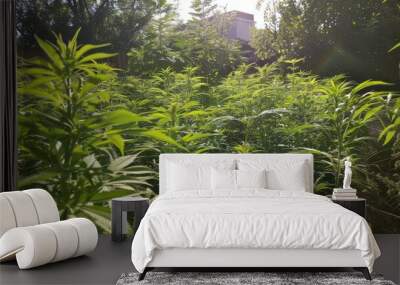 Cannabis Plants in Sunlight Wall mural