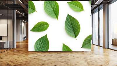 Green leaves isolated on a bright white background highlighting the natural intricate veins and shapes perfect for botanical themes or eco concepts Wall mural