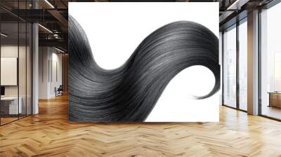 Black hair isolated on white background. Long ponytail. Wall mural