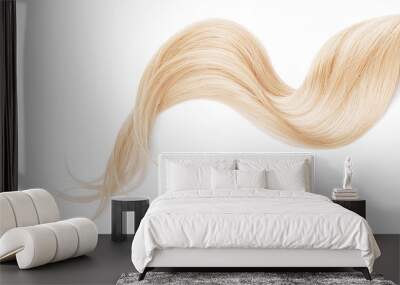 Blond hair isolated on white background. Long wavy ponytail Wall mural