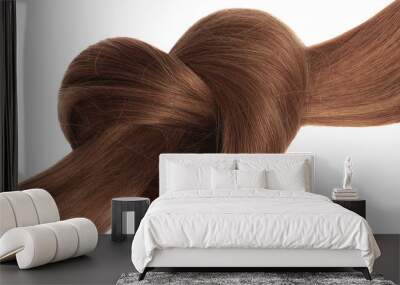 Brown hair knot in shape of heart, isolated on white background Wall mural