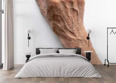 Hand of senior man holding something isolated on white. High resolution Wall mural