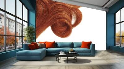 Henna hair isolated on white background. Backdrop with copy space Wall mural