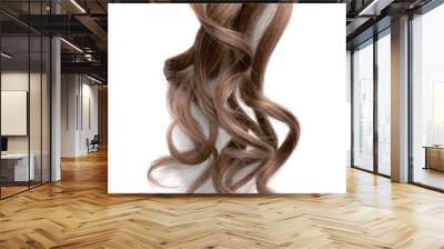 Long wavy brown hair on white background Wall mural