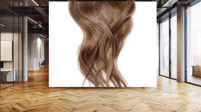 Long wavy brown hair on white background Wall mural