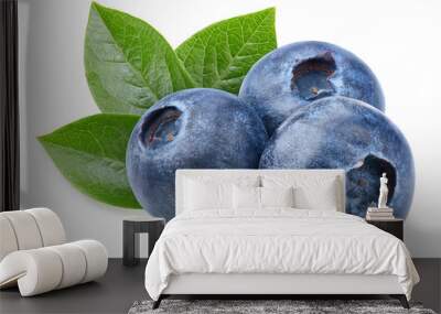 Blueberry isolated on white background Wall mural