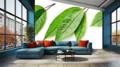 Green Cherry leaf isolated Wall mural