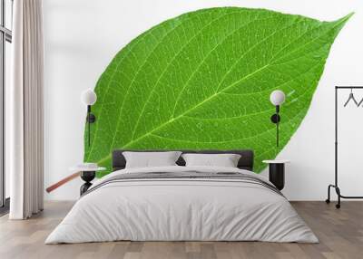 green leaf on a white Wall mural