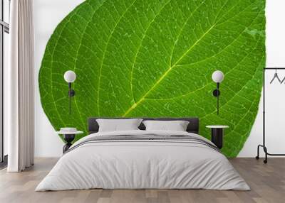 green leaf Wall mural