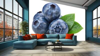 Organic blueberry isolated on white background Wall mural