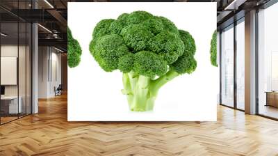 raw broccoli isolated Wall mural