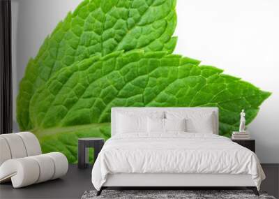 Two fresh mint leaves isolated on white background. Studio macro Wall mural