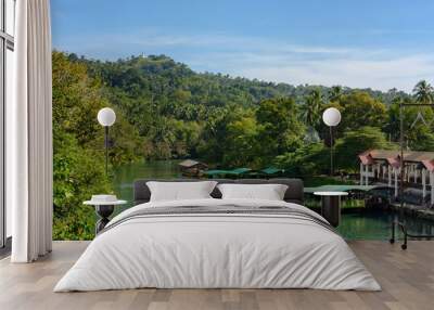 Jungle river Loboc on Bohol island, Philippines Wall mural