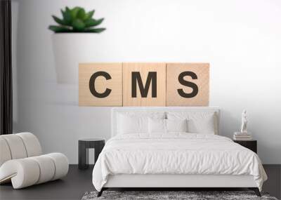 CMS - Content Management System - acronym on wooden cubes on white background. business concept Wall mural