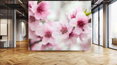 Blooming tree in spring with pink flowers Wall mural