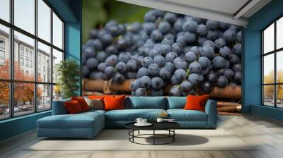 harvest of blue grape Wall mural