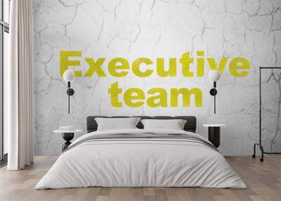 Business concept: Executive Team on wall background Wall mural