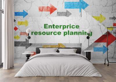 Finance concept: arrow with Enterprice Resource Planning on grunge wall background Wall mural