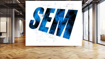 Marketing concept: SEM on Digital background Wall mural