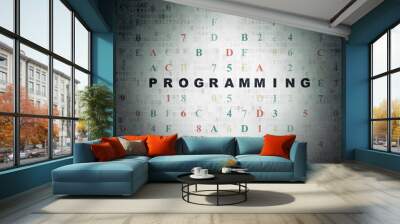 Programming concept: Programming on Digital Data Paper background Wall mural