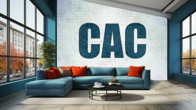 Stock market indexes concept: CAC on Digital Data Paper background Wall mural