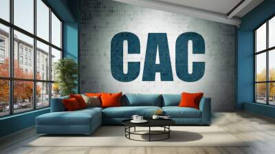 Stock market indexes concept: Painted blue word CAC on Digital Data Paper background Wall mural