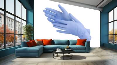 Medical nitrile gloves.Two blue surgical gloves isolated on white background with hands. Rubber glove manufacturing, human hand is wearing a latex glove. Doctor or nurse putting on protective gloves Wall mural