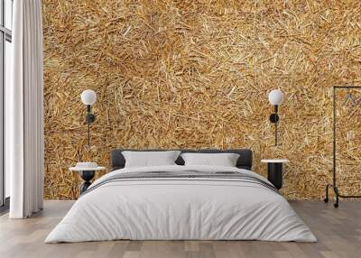 Seamless texture hay, straw Wall mural