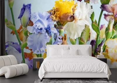 bunch of colorful irises Wall mural