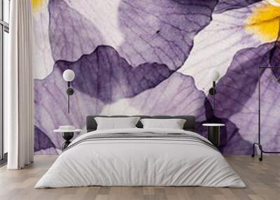 dry primrose flowers Wall mural