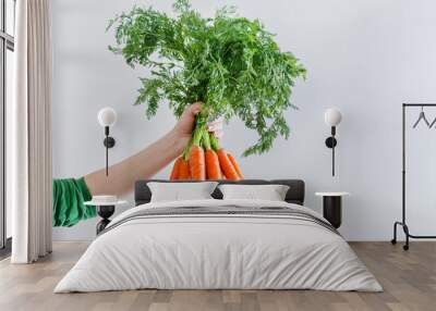 fresh carrots Wall mural