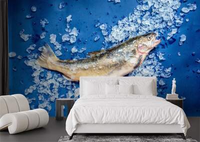 fresh fish Wall mural