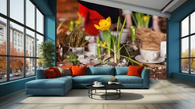 Gardener planting spring flower Wall mural