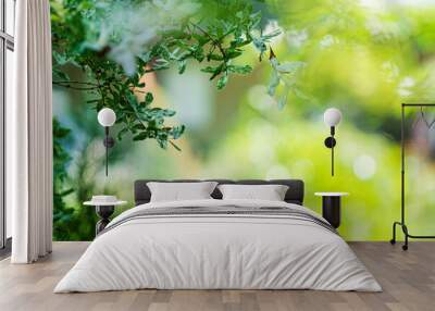 green summer background, blurred space Wall mural